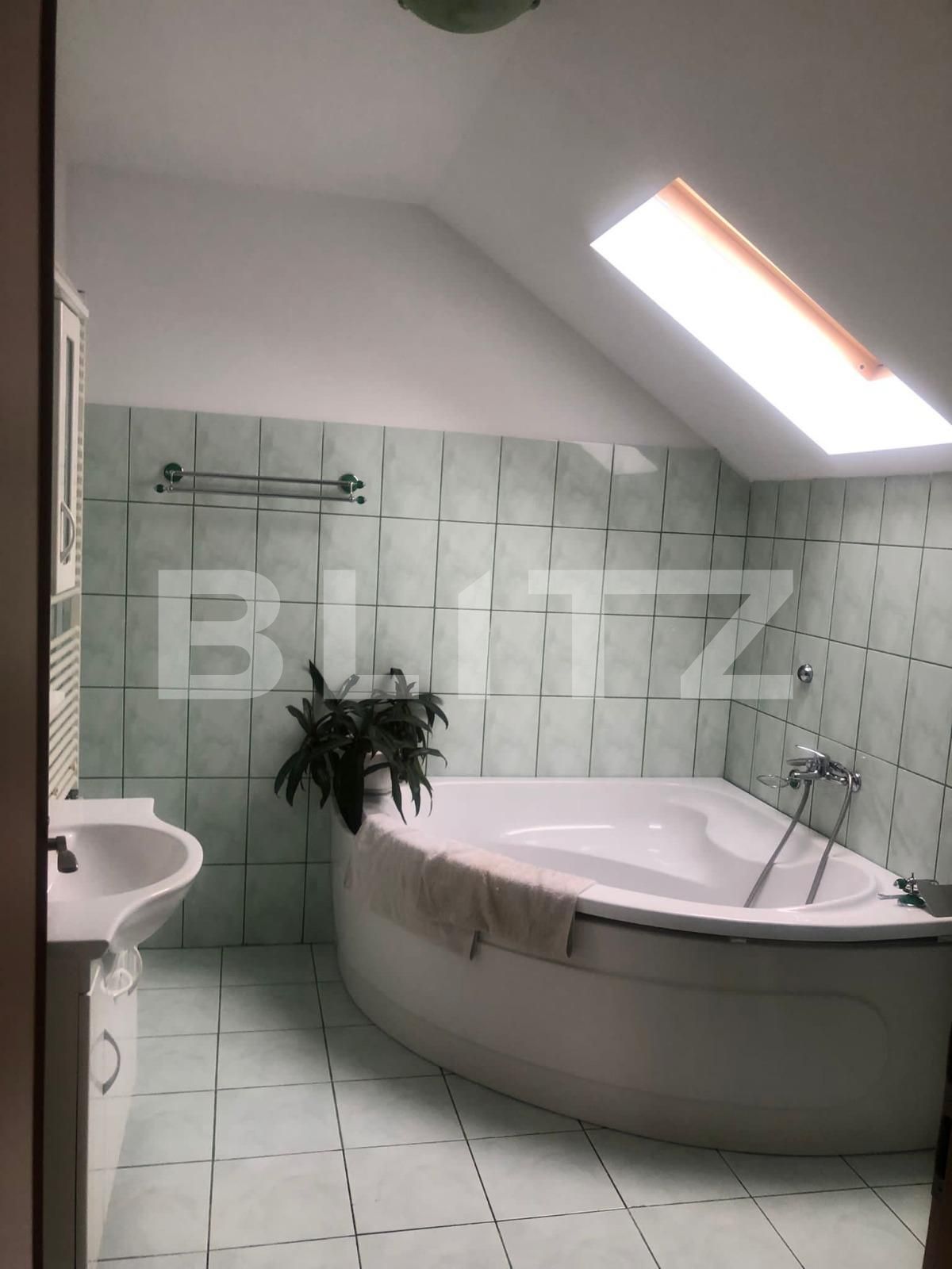 Casa de vânzare 9 camere Dumbravita - 102951CV | BLITZ Timișoara | Poza4