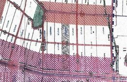 Teren extravilan arabil de 4,17 ha la DN69 Timisoara-Arad