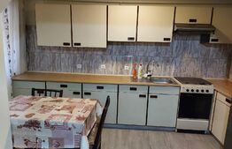 Apartament la casa, 60 mp, zona Lipovei 