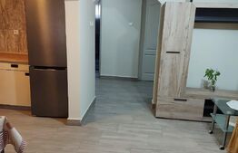 Apartament la casa, 60 mp, zona Lipovei 