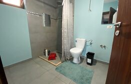 Duplex de 156mp utili, cochet, P+1+pod inalt, 395mp teren, in Mosnita Noua