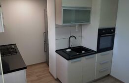 Apartament deosebit, 2 camere, 68 mp, zona Lipovei