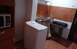 Garsoniera linistita, 24 mp, zona Buziasului 