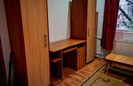 Garsoniera linistita, 24 mp, zona Buziasului 