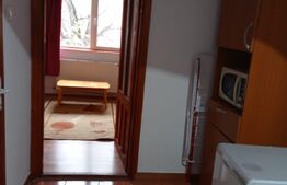 Garsoniera linistita, 24 mp, zona Buziasului 