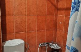 Garsoniera linistita, 24 mp, zona Buziasului 