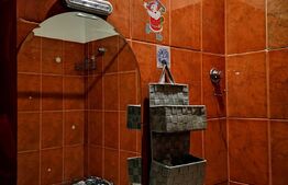 Garsoniera linistita, 24 mp, zona Buziasului 