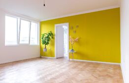 Apartament de 2 camere, 54 mp, zona Balcescu