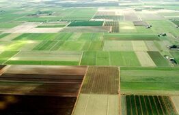 Teren intravilan extins, 1200 mp, Sag