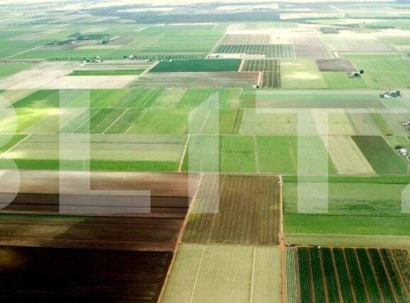 Teren de vânzare Sag - 103396TV | BLITZ Timișoara | Poza1