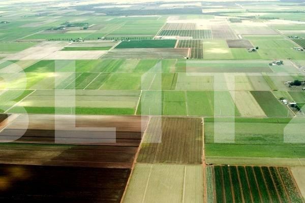 Teren de vânzare Sag - 103396TV | BLITZ Timișoara | Poza1