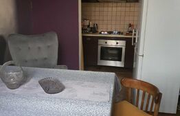 Apartament de 2 camere, cochet, in cladire istorica, zona Iosefin