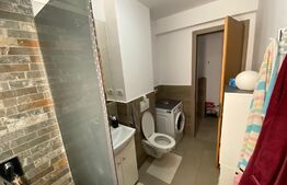 Apartament 2 camere, decomandat, 50 mp, parcare, Mosnita Noua