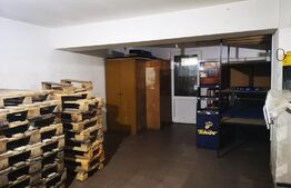 Spatiu comercial SAD, Zona Lipovei, 3300 euro