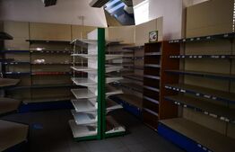 Spatiu comercial SAD, Zona Lipovei, 3300 euro