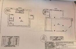 Spatiu comercial SAD, Zona Lipovei, 3300 euro
