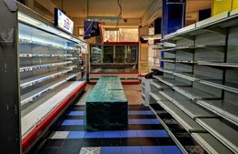 Spatiu comercial SAD, Zona Lipovei, 3300 euro