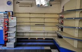 Spatiu comercial SAD, Zona Lipovei, 3300 euro