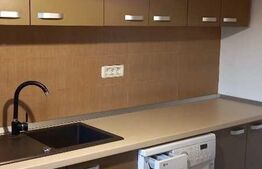 Apartament cu o camera, 30 mp, la casa, Mehala