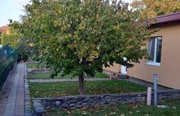 Apartament cu o camera, 30 mp, la casa, Mehala