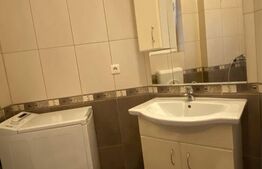 Apartament 2 camere, 55 mp, curte comuna, zona Iosefin