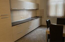 Apartament 2 camere, 55 mp, curte comuna, zona Iosefin