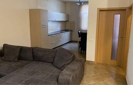 Apartament 2 camere, 55 mp, curte comuna, zona Iosefin