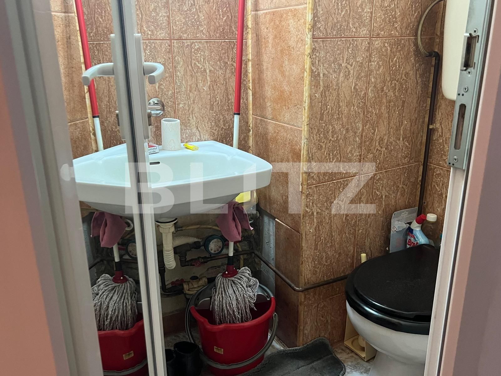 Apartament de vânzare 3 camere Aradului - 103968AV | BLITZ Timișoara | Poza6