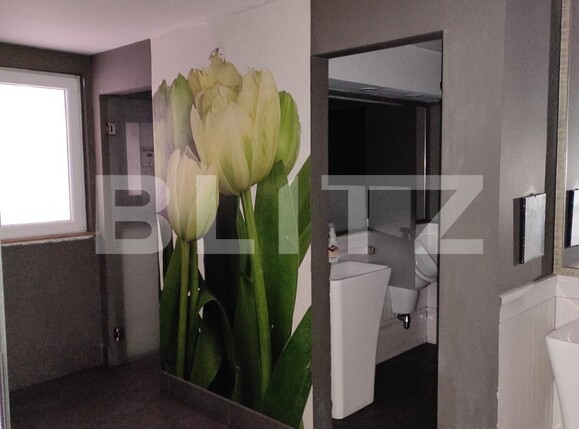 Spațiu comercial de închiriat Medicina - 103981SIC | BLITZ Timișoara | Poza4