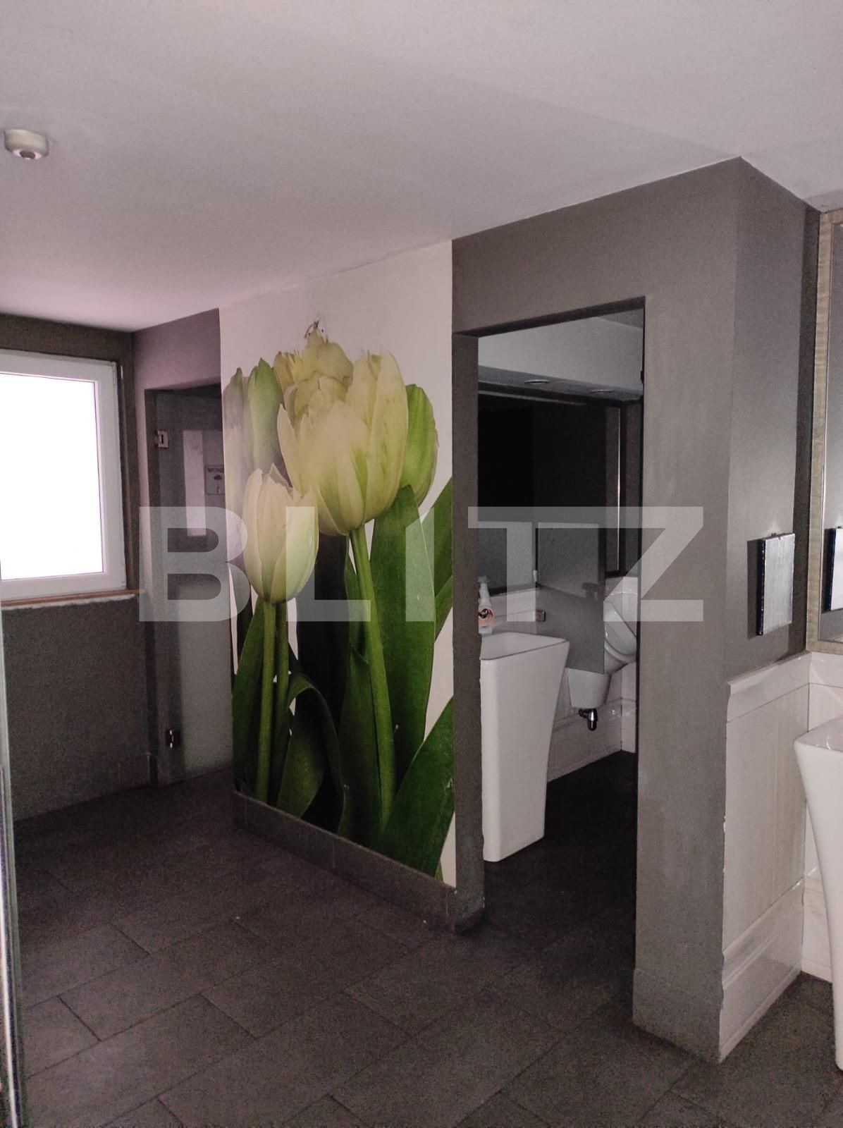 Spațiu comercial de închiriat Medicina - 103981SIC | BLITZ Timișoara | Poza4