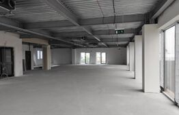 Spatiu comercial cu Vad bun, 300 mp, zona Giroc