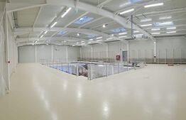 Spatiu comercial cu VAD bun, 930 mp, zona Giroc