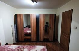 Apartament de 2 camere, pet-friendly, 55 mp, zona Girocului