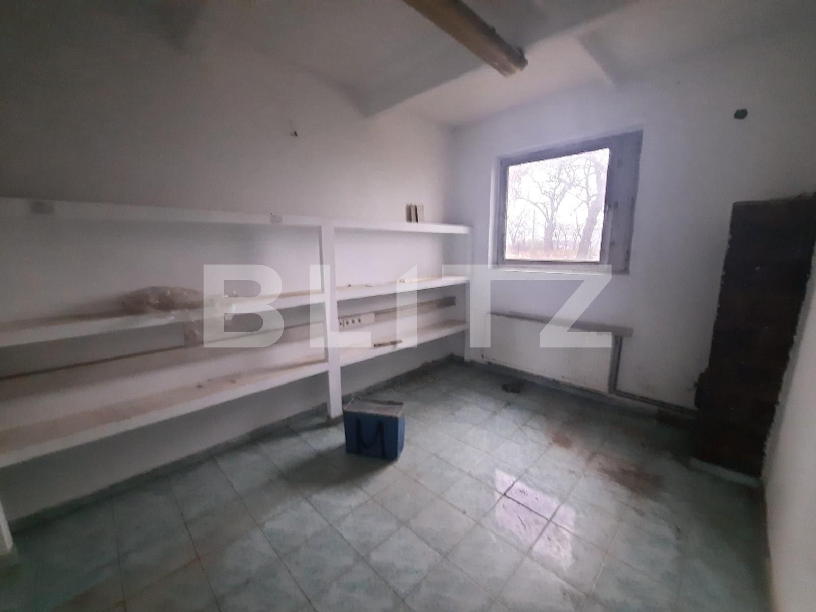 Spațiu industrial de închiriat Mosnita Noua - 104101SII | BLITZ Timișoara | Poza4