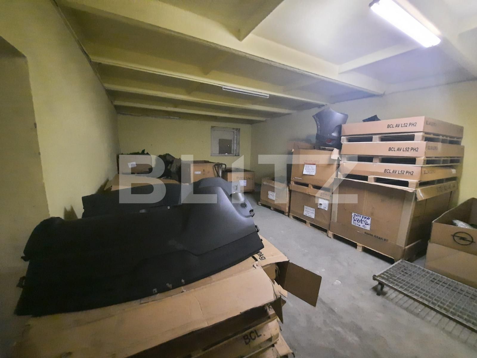 Spațiu industrial de închiriat Mosnita Noua - 104101SII | BLITZ Timișoara | Poza2