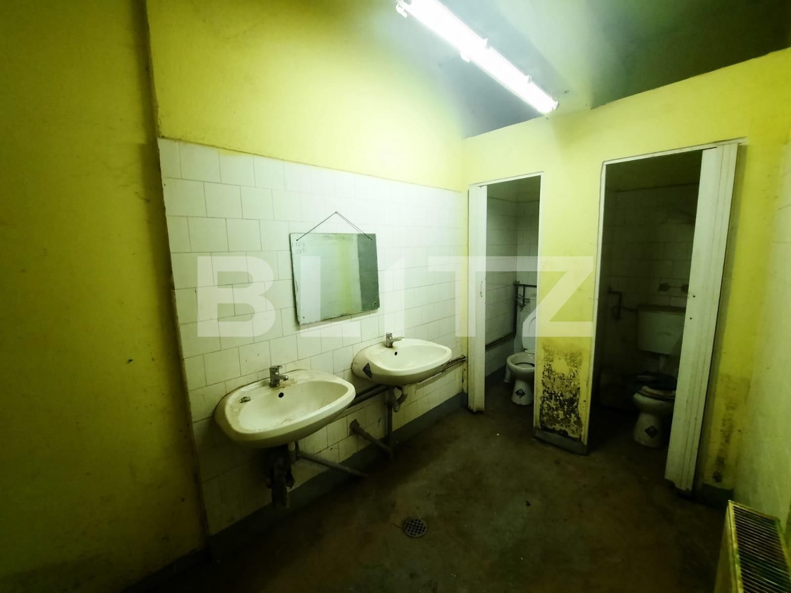 Spațiu industrial de închiriat Mosnita Noua - 104101SII | BLITZ Timișoara | Poza7