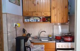 Garsoniera, 22 mp, mobilata/utilata, Blascovici