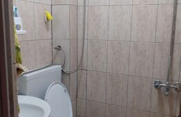 Garsoniera, 22 mp, mobilata/utilata, Blascovici