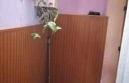 Apartament cu 2 camere, 50 mp, curte comuna, Traian