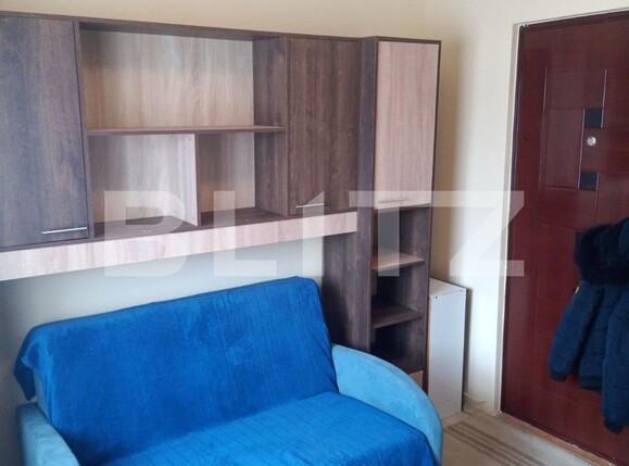 Garsonieră de vânzare Sagului - 104209AV | BLITZ Timișoara | Poza2