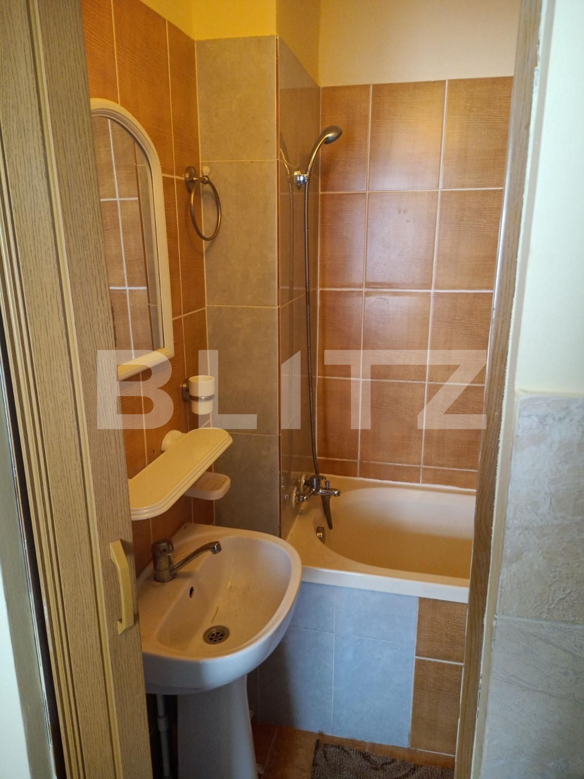 Garsonieră de vânzare Sagului - 104209AV | BLITZ Timișoara | Poza7