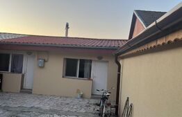 Apartament cu o camera, la curte, 48 mp, Fratelia