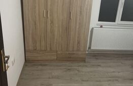 Apartament cu o camera, la curte, 48 mp, Fratelia