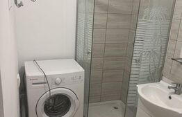 Apartament cu o camera, la curte, 48 mp, Fratelia