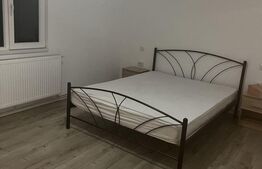 Apartament cu o camera, la curte, 48 mp, Fratelia