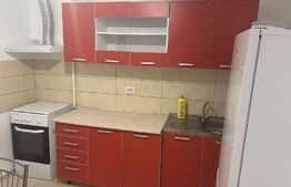 Apartament cu o camera, la curte, 48 mp, Fratelia