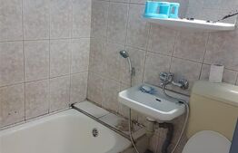 Apartament cu 1 camera, 22 mp, mobilat, Buziasului