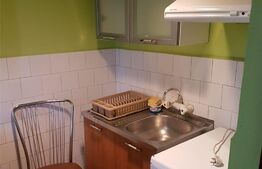 Apartament cu 1 camera, 22 mp, mobilat, Buziasului