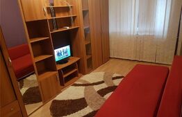 Apartament cu 1 camera, 22 mp, mobilat, Buziasului