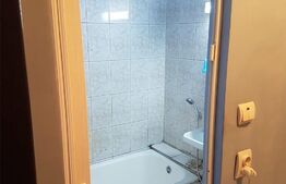 Apartament cu 1 camera, 22 mp, mobilat, Buziasului